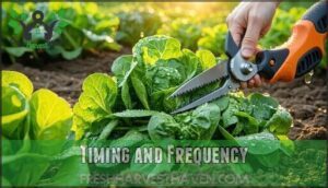 timing and frequency
