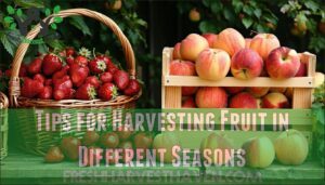 tips for harvesting fruit in different seasons