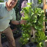 Two men standing in front of a plant, one of them pointing at the plant.