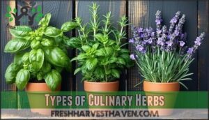 types of culinary herbs