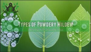types of powdery mildew