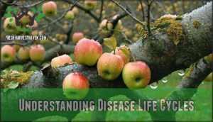 understanding disease life cycles
