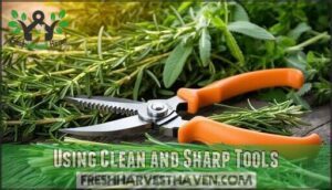 using clean and sharp tools