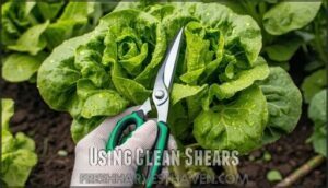 using clean shears