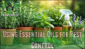 using essential oils for pest control