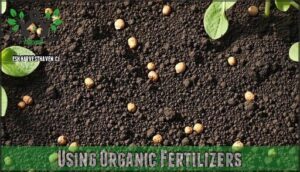 using organic fertilizers