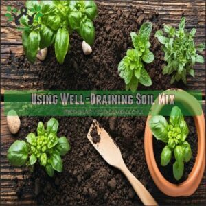using well-draining soil mix