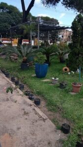 Vida Garden