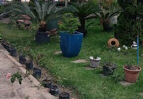 Vida Garden