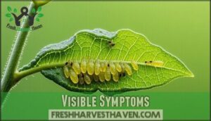 visible symptoms