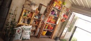 Vivero Armadillo: Asesoría técnica en agronomía