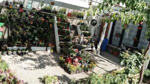 Vivero "El Sauce"