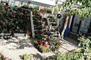 Vivero "El Sauce"