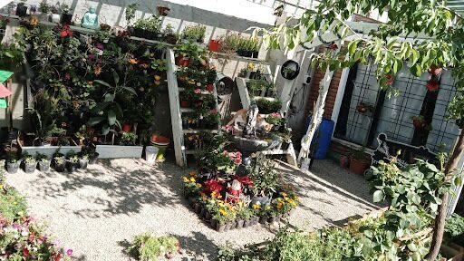 Vivero "El Sauce"