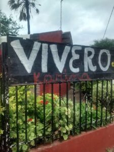 Vivero Karina Silva