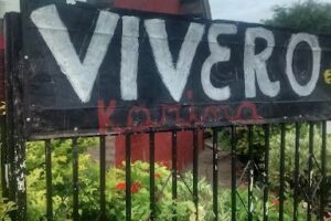 Vivero Karina Silva