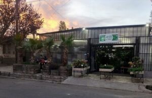 Vivero la Curva