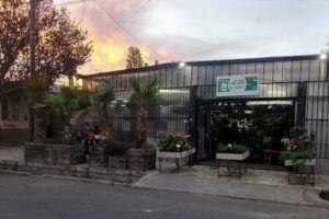 Vivero la Curva