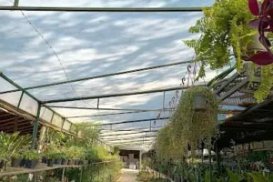 Vivero Los Eucaliptus