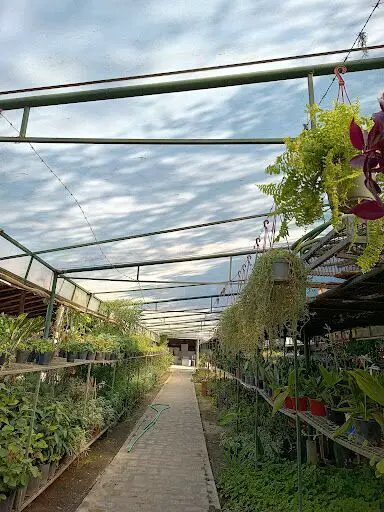 Vivero Los Eucaliptus