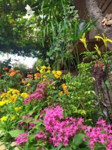 VIVERO MONROY