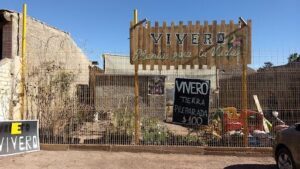 VIVERO PLANTAS PARA TU VIDA