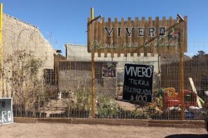 VIVERO PLANTAS PARA TU VIDA