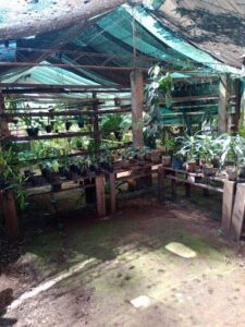 Vivero Reserva Misionera