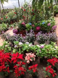 Vivero Route 14