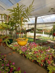 Vivero Zordan