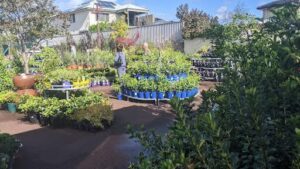 Waldecks Garden Centre | Stirling