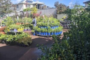 Waldecks Garden Centre | Stirling