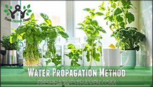 water propagation method