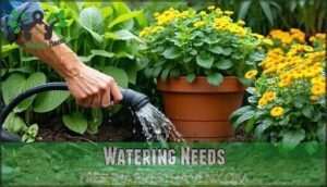 watering needs