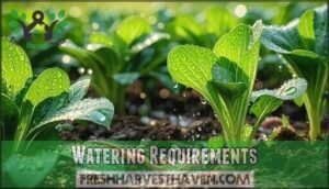 watering requirements