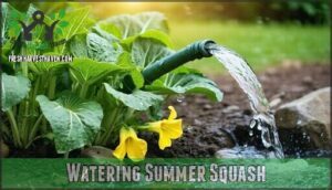 watering summer squash