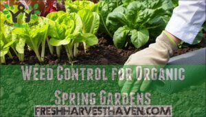 weed control for organic spring gardens