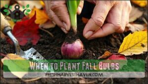 when to plant fall bulbs