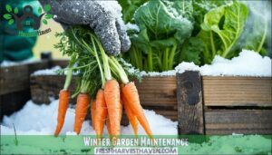 winter garden maintenance