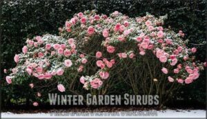 winter garden shrubs