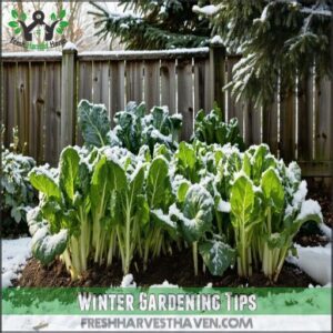 winter gardening tips