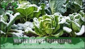 winter harvest preparation