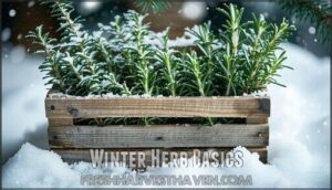 winter herb basics