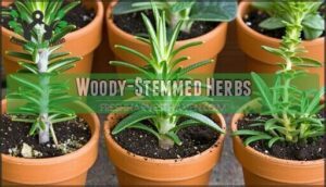 woody-stemmed herbs