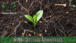 worm castings advantages