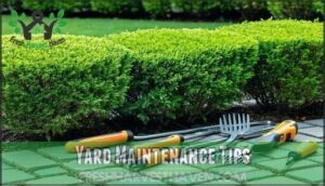 yard maintenance tips