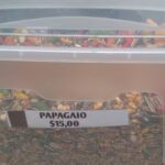 A bag of Papagaios sits in a plastic container, ready to be sold.