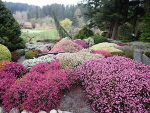 A beautiful garden with a variety of flowers and bushes.