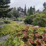 A beautiful garden with a variety of plants, including red and green leaves, and a fence.