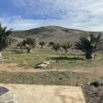 A beautiful view of a mountain with a field of palm trees in the foreground.